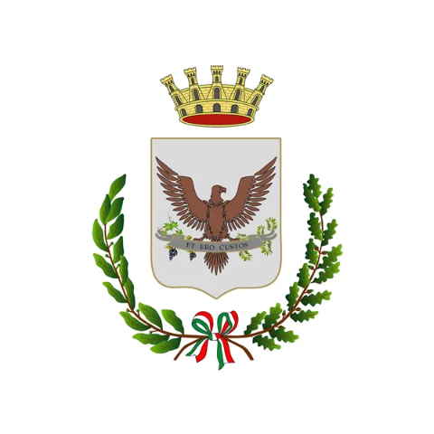 Logo istituzionale del comune dl custonaci.